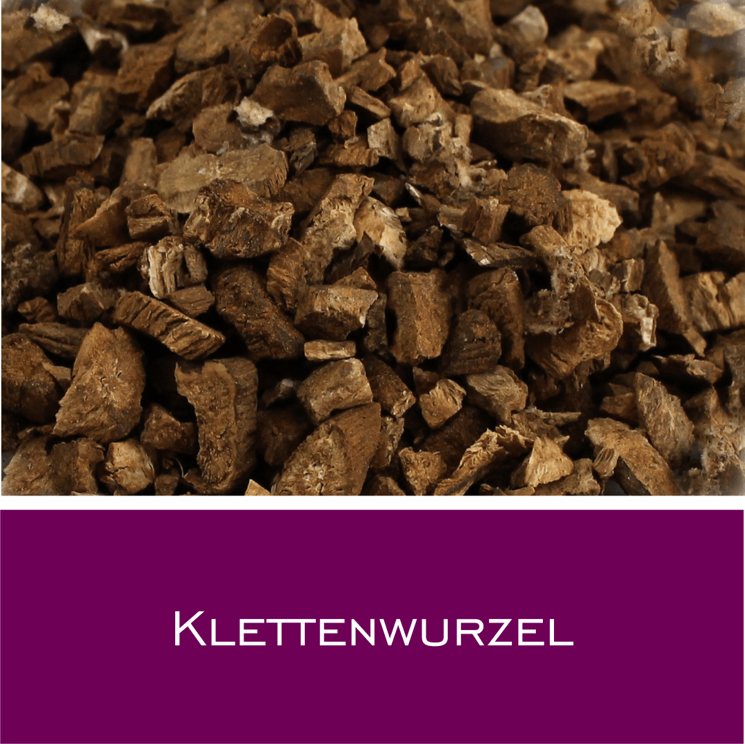 Klettenwurzel - HorseHealthEssentials