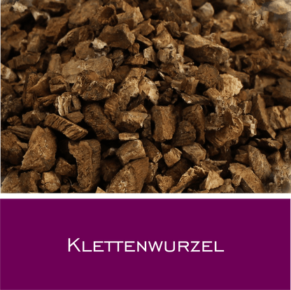 Klettenwurzel - HorseHealthEssentials