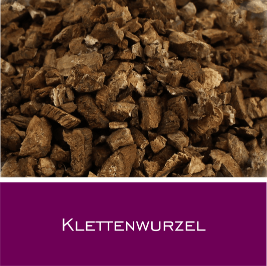 Klettenwurzel - HorseHealthEssentials