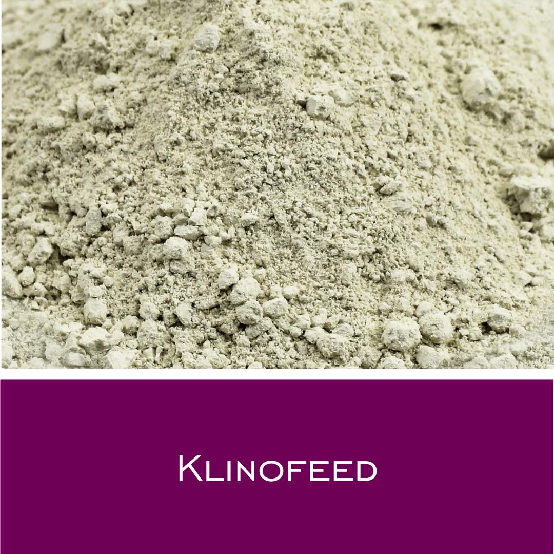 Klinofeed - Zeolith - HorseHealthEssentials