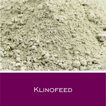 Klinofeed - Zeolith - HorseHealthEssentials