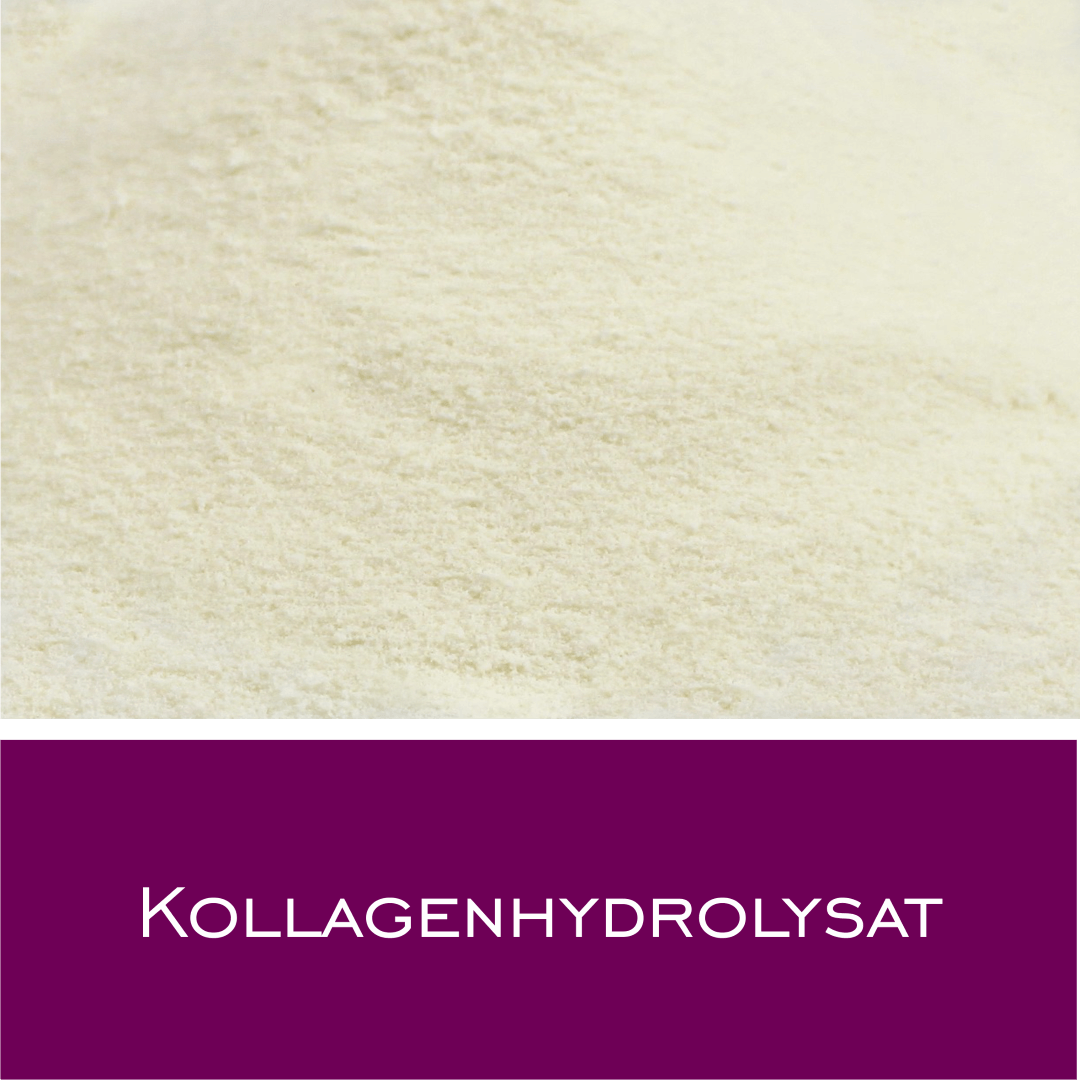 Kollagenhydrolysat - HorseHealthEssentials