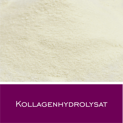 Kollagenhydrolysat - HorseHealthEssentials