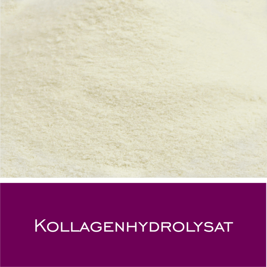 Kollagenhydrolysat - HorseHealthEssentials