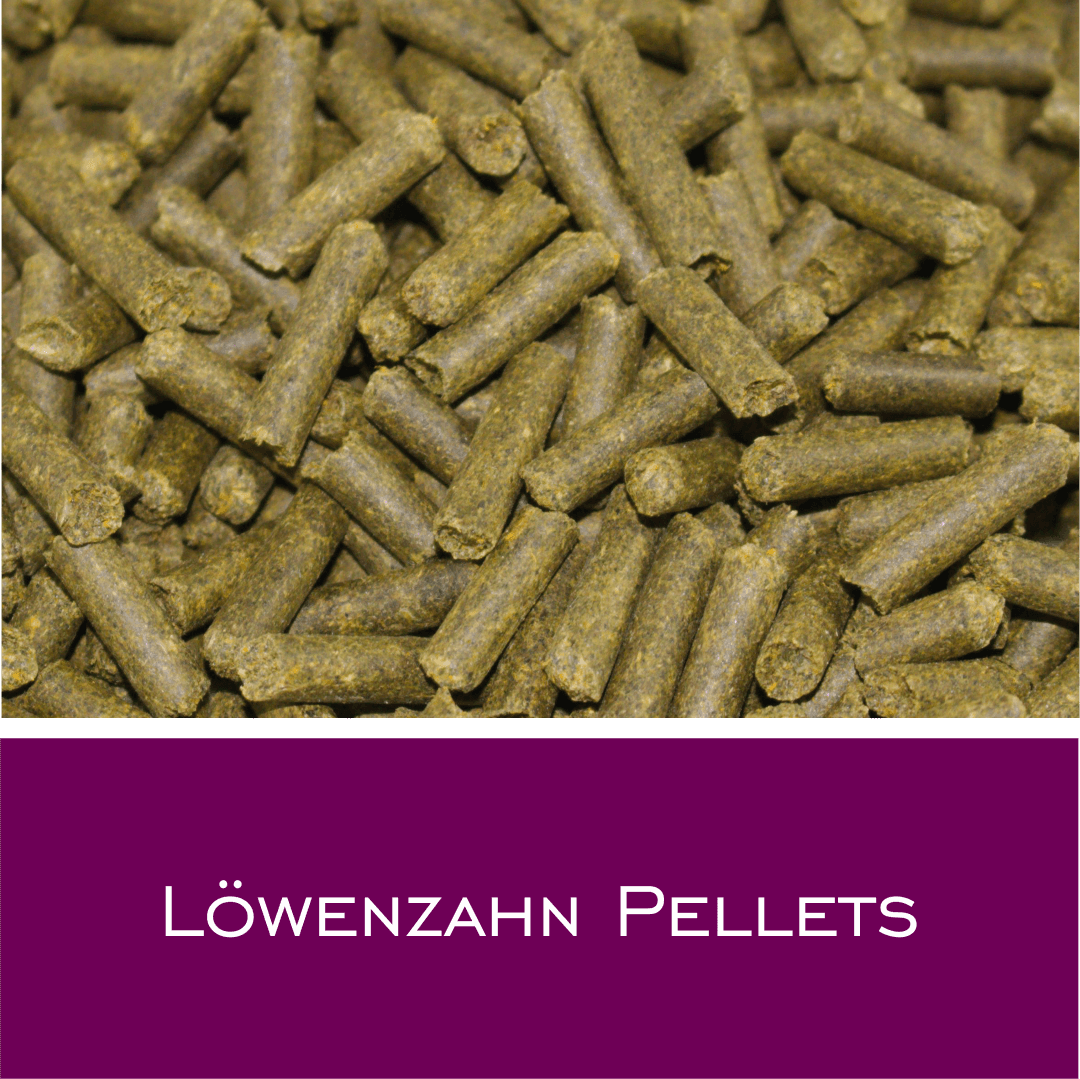 Löwenzahn Pellets - HorseHealthEssentials