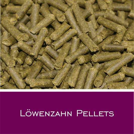 Löwenzahn Pellets - HorseHealthEssentials