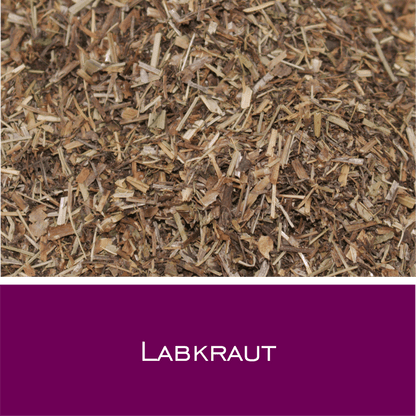 Labkraut - HorseHealthEssentials