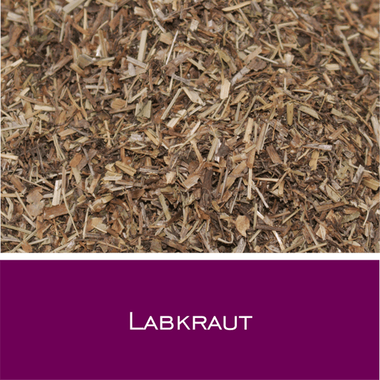 Labkraut - HorseHealthEssentials