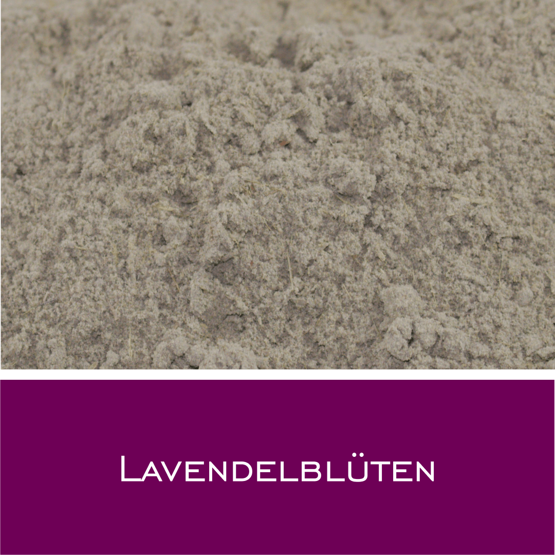 Lavendelblüten - HorseHealthEssentials
