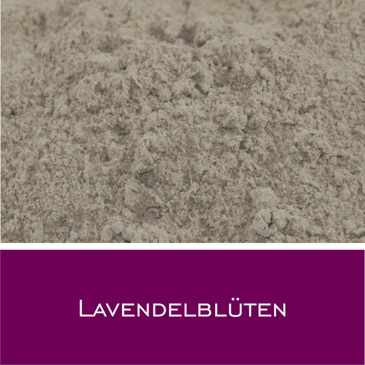 Lavendelblüten - HorseHealthEssentials