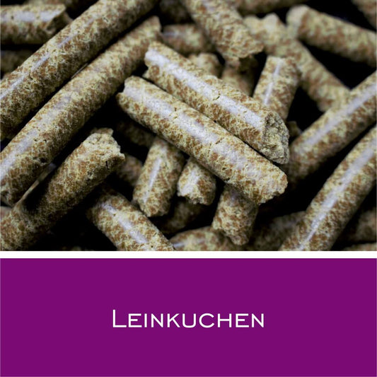 Leinkuchen - HorseHealthEssentials