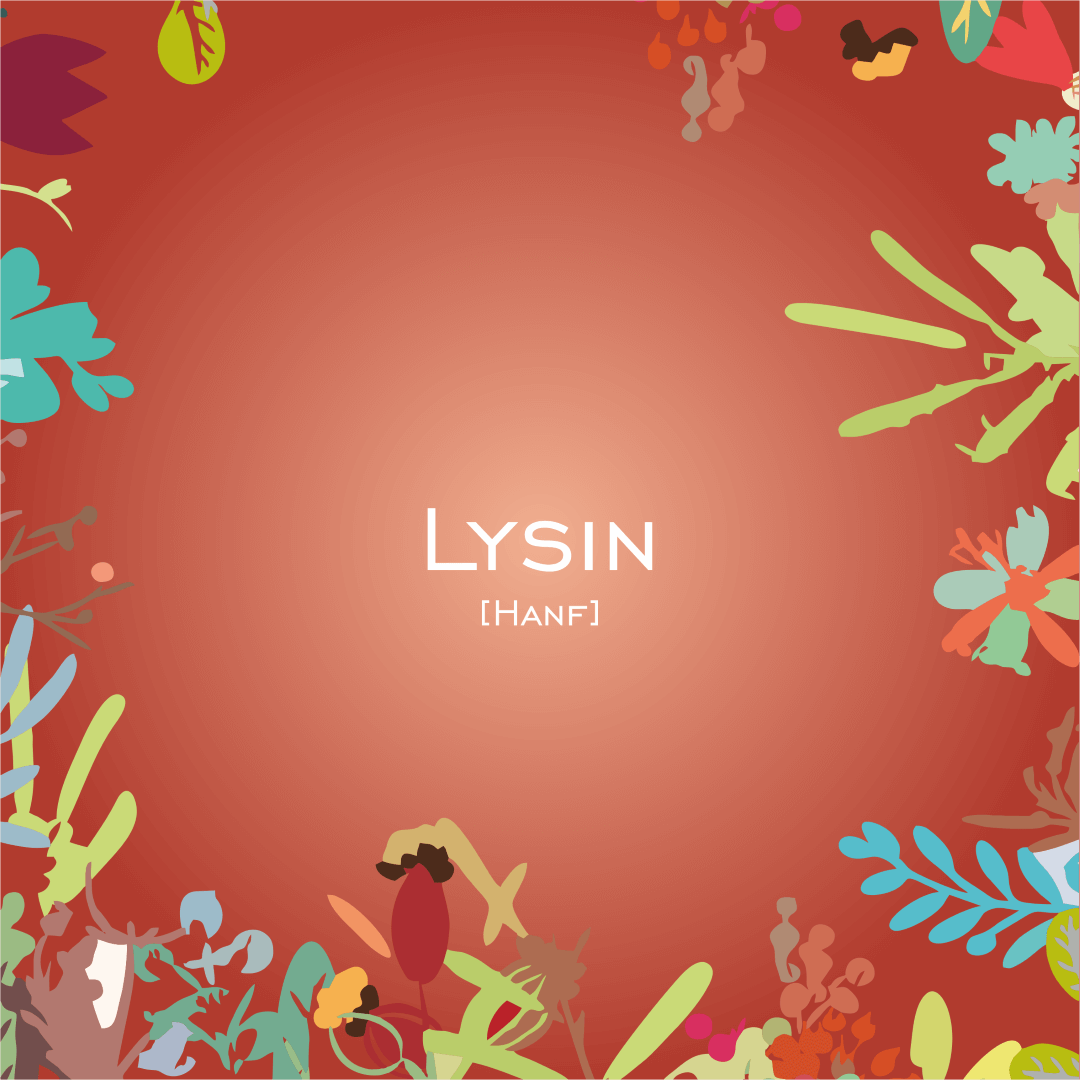 Lysin Hanf - HorseHealthEssentials