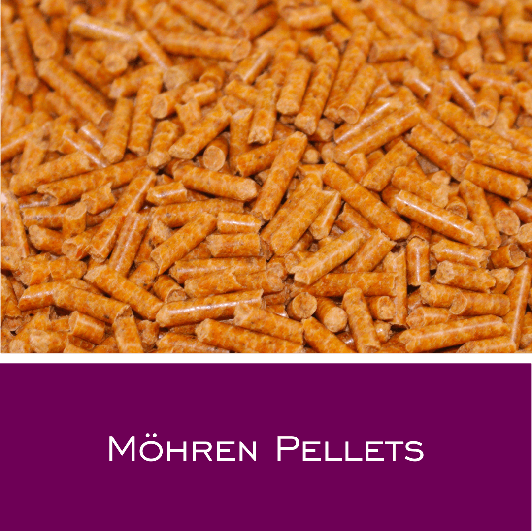 Möhren Pellets - HorseHealthEssentials