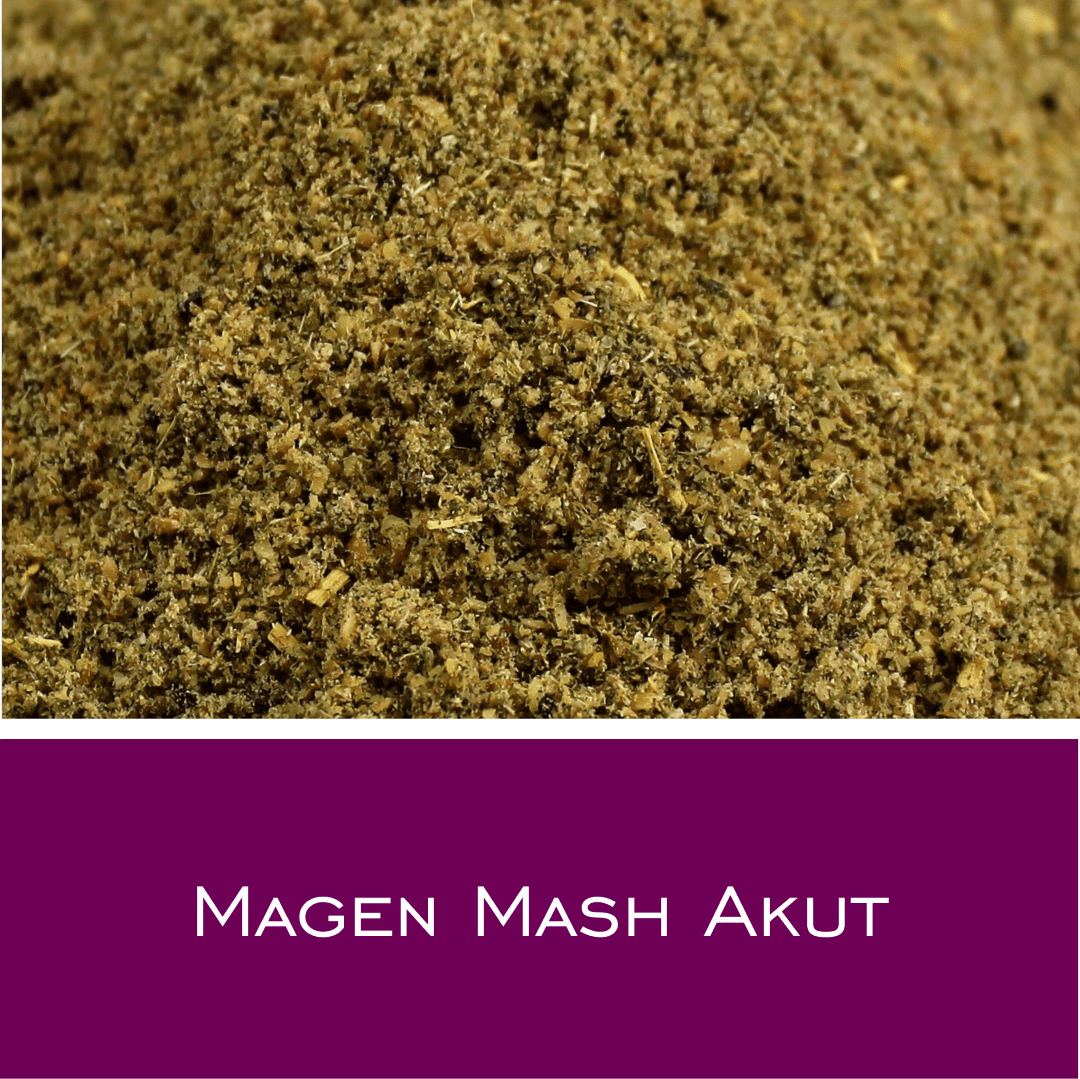 Magen Mash Akut - HorseHealthEssentials