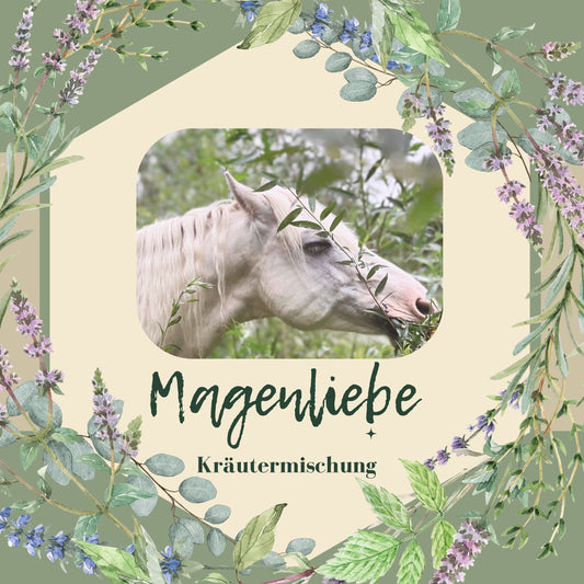 Magenliebe