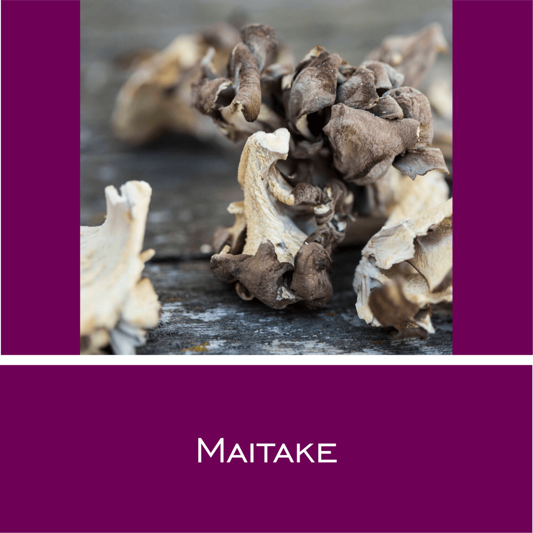 Maitake - HorseHealthEssentials