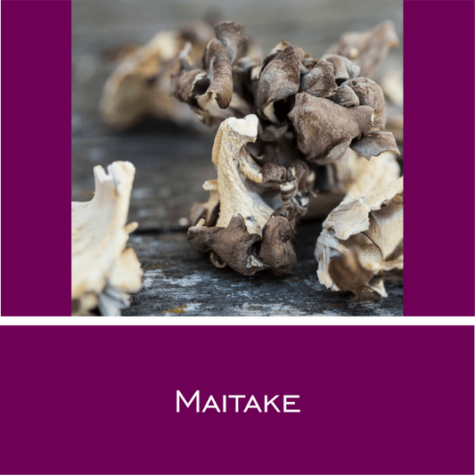 Maitake - HorseHealthEssentials