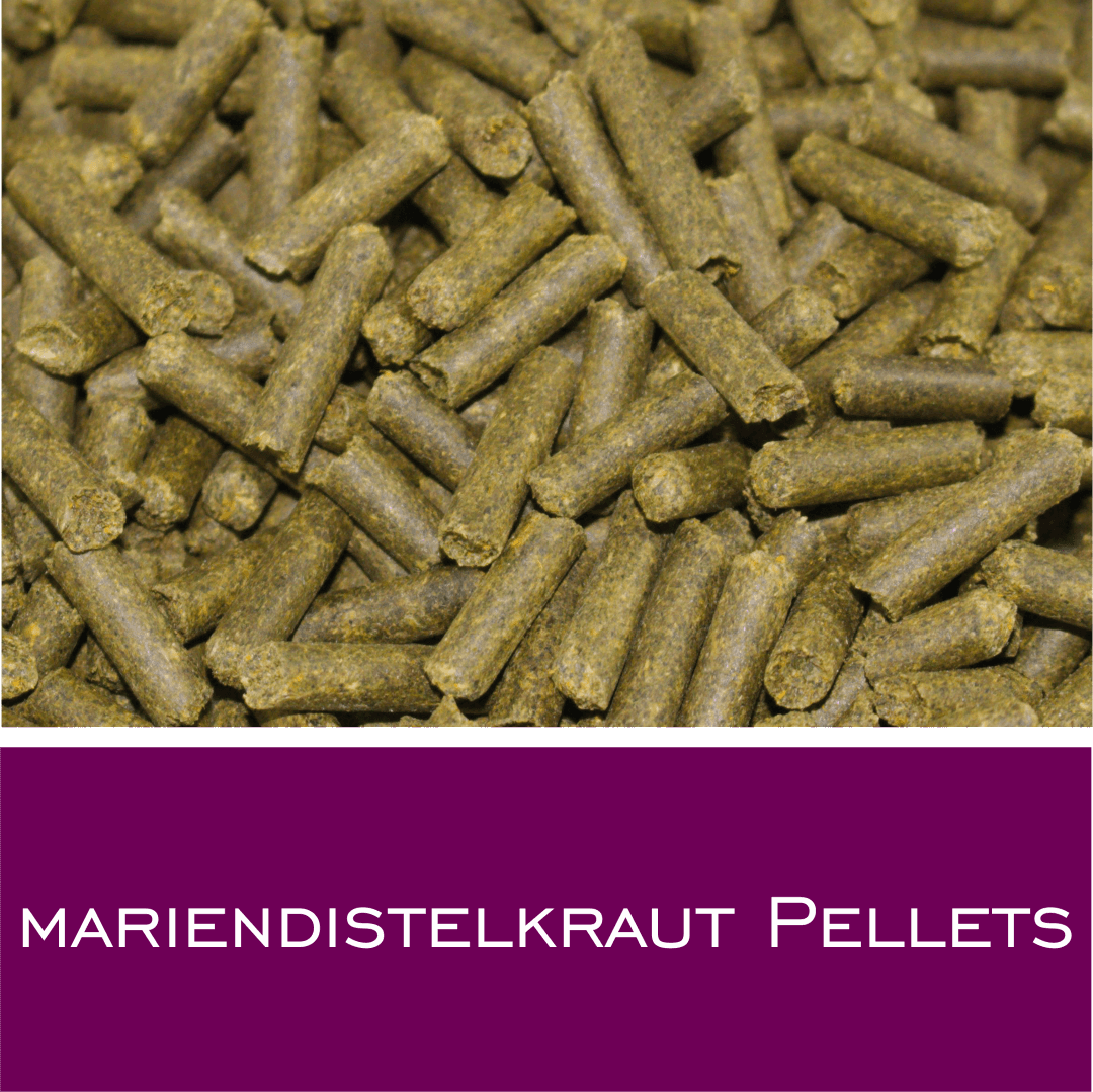 Mariendistelkraut Pellets - HorseHealthEssentials