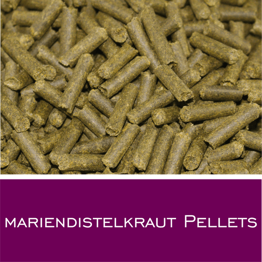 Mariendistelkraut Pellets - HorseHealthEssentials