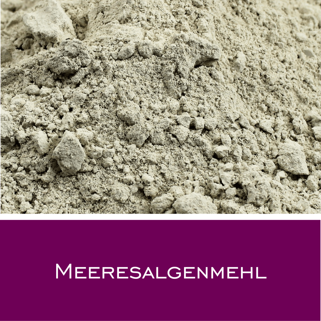 Meeresalgenmehl - HorseHealthEssentials