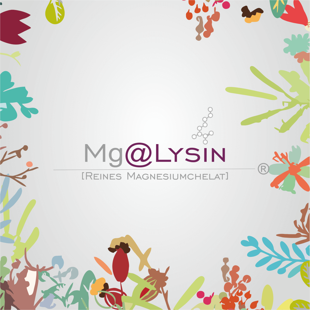 Mg@Lysin - HorseHealthEssentials