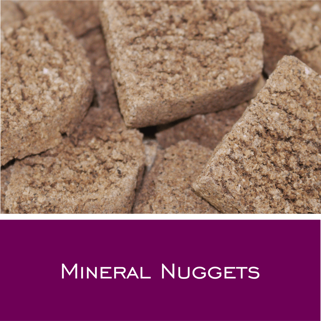 Mineral Nuggets - HorseHealthEssentials