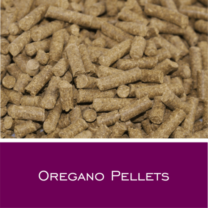 Oregano Pellets - HorseHealthEssentials