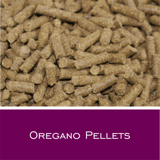 Oregano Pellets - HorseHealthEssentials