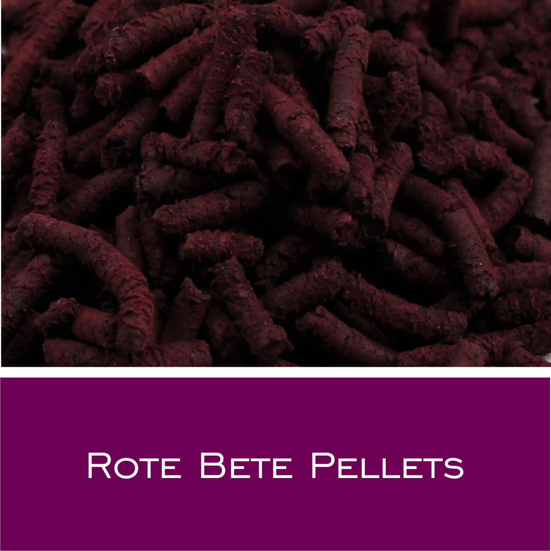 Rote Bete Pellets - HorseHealthEssentials