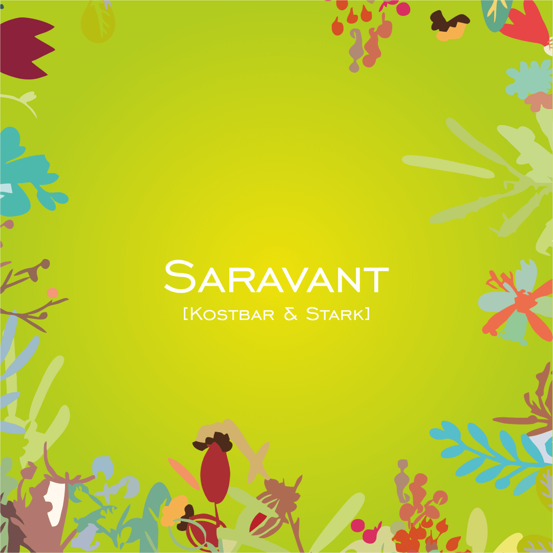 Saravant [ohne Selen - ohne Eisen] - HorseHealthEssentials