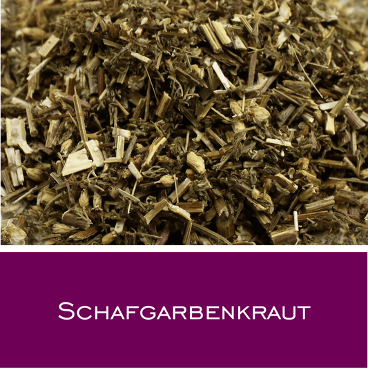 Schafgarbenkraut mit Blüten geschnitten - HorseHealthEssentials