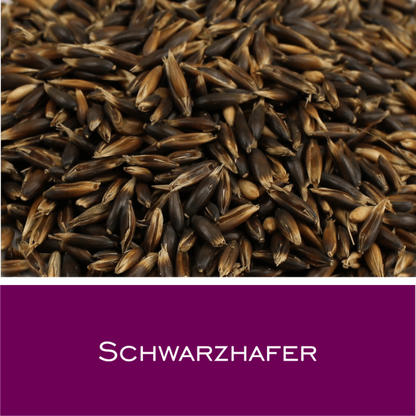 Schwarzhafer