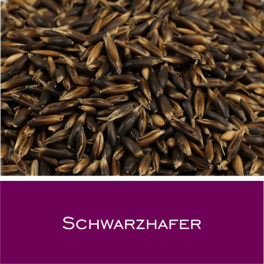 Schwarzhafer