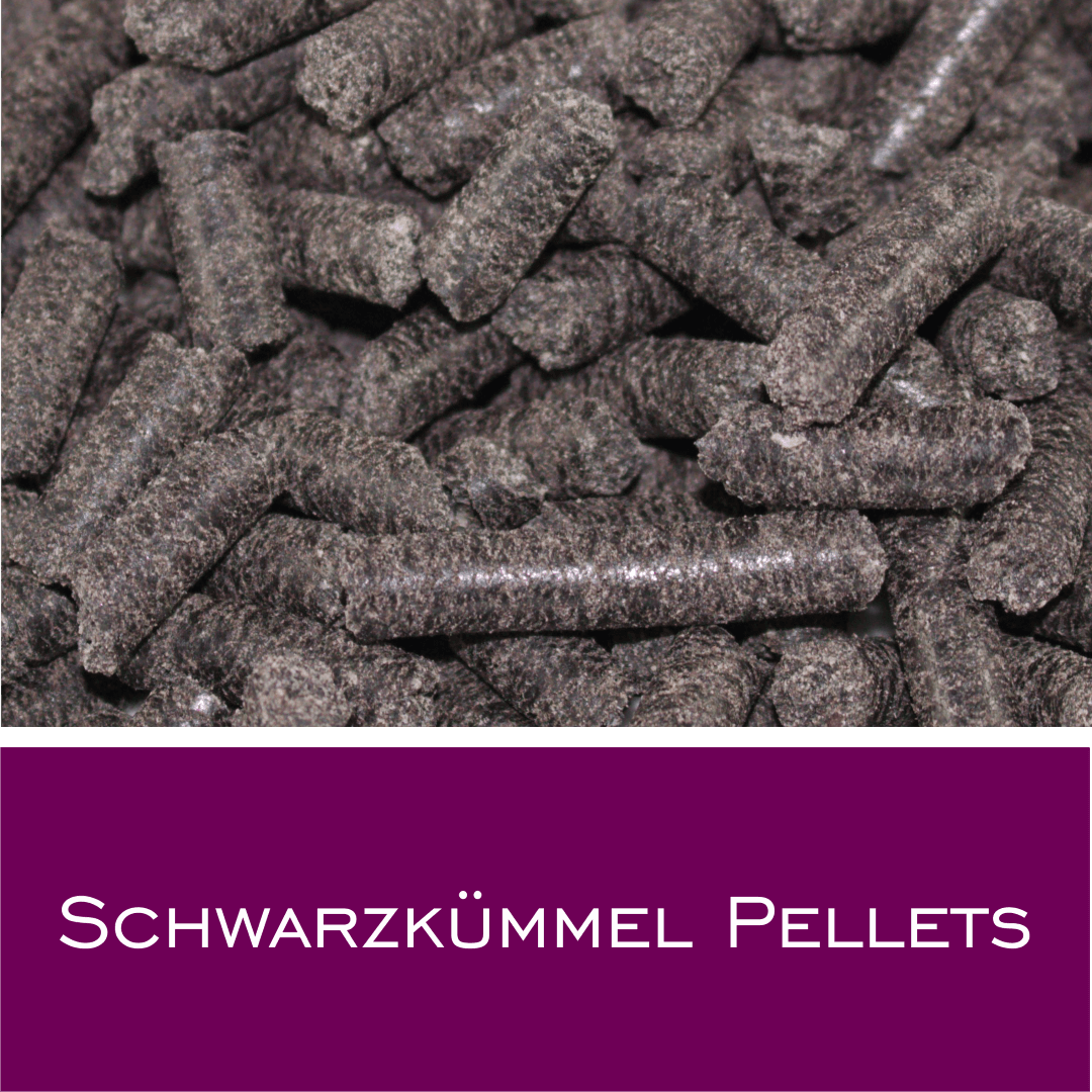 Schwarzkümmel Pellets - HorseHealthEssentials