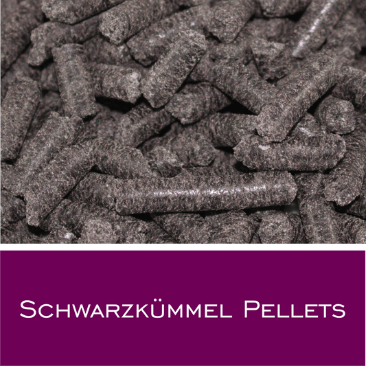 Schwarzkümmel Pellets - HorseHealthEssentials