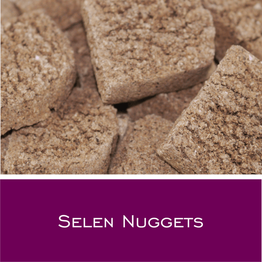 Selen Nuggets - HorseHealthEssentials