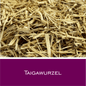 Taigawurzel PH - HorseHealthEssentials