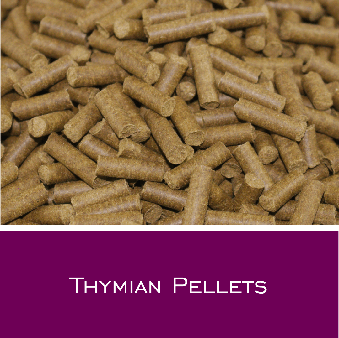 Thymian Pellets - HorseHealthEssentials