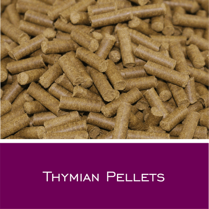 Thymian Pellets - HorseHealthEssentials