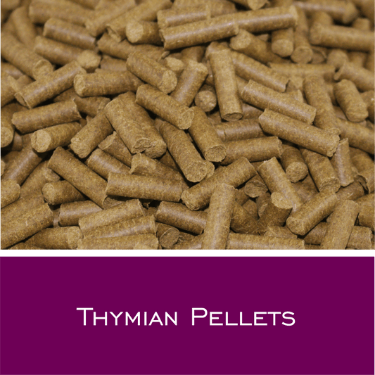 Thymian Pellets - HorseHealthEssentials