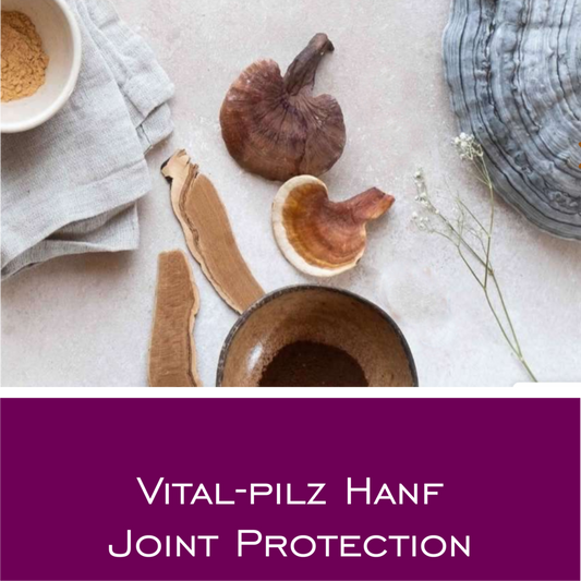 Vital-Pilz Hanf Joint Protection - HorseHealthEssentials