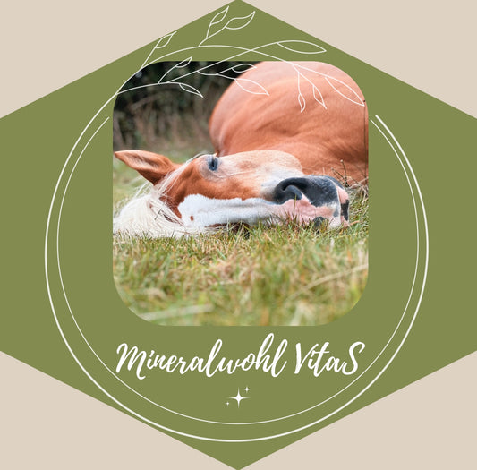 Mineralwohl VitaS - mit Selen - HorseHealthEssentials