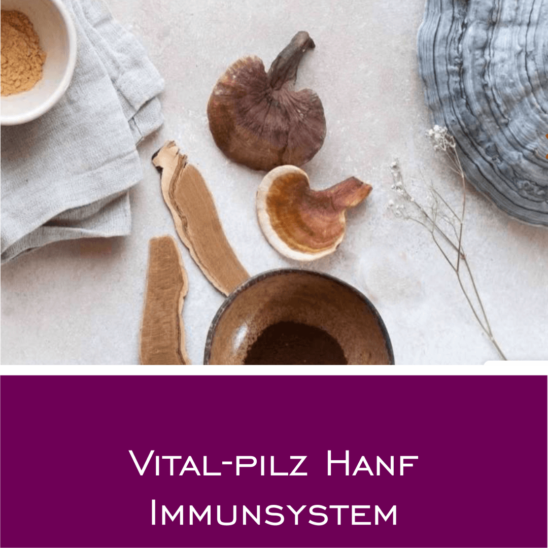 Vital-Pilz Hanf Immunsystem - HorseHealthEssentials
