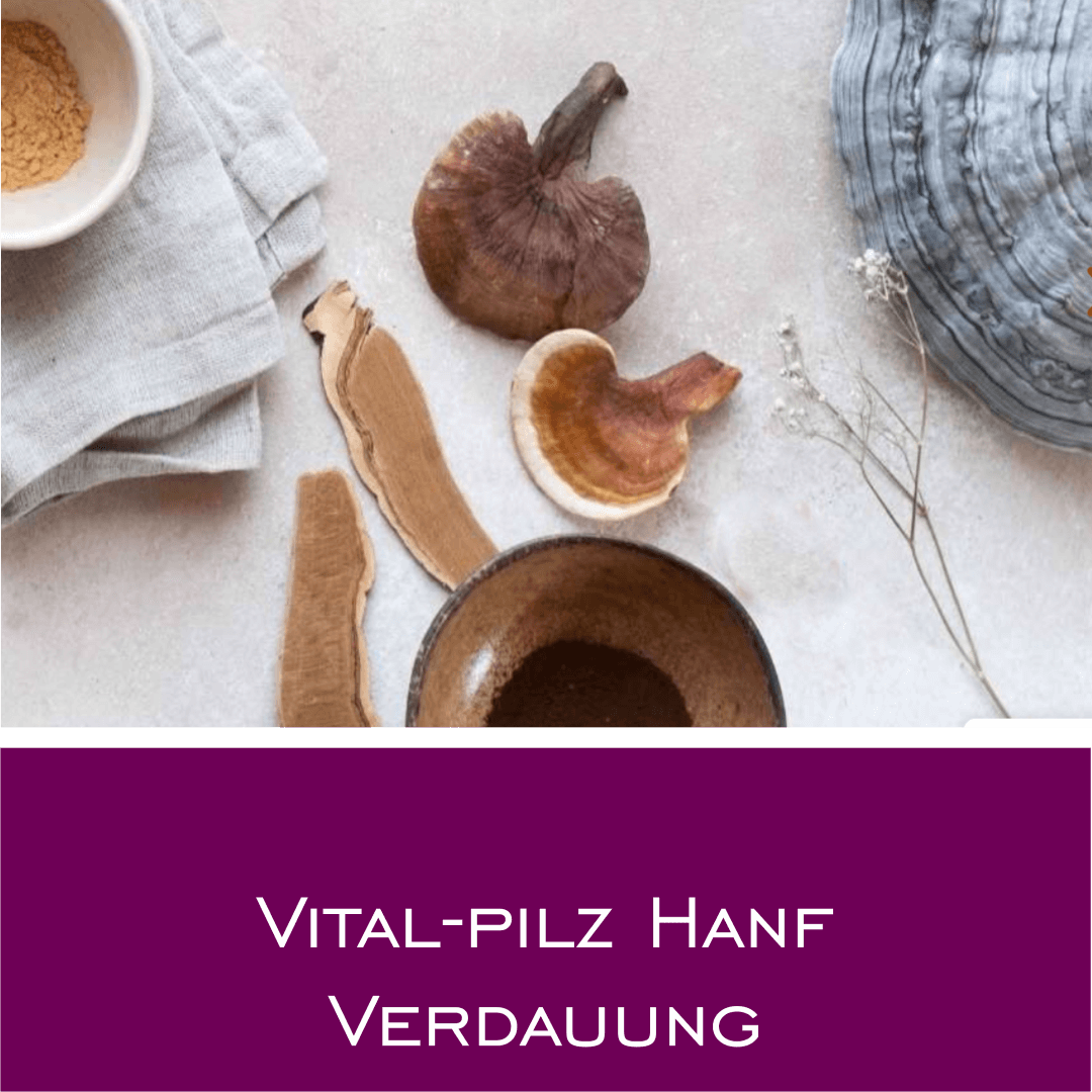 Vital-Pilz Hanf Verdauung - HorseHealthEssentials