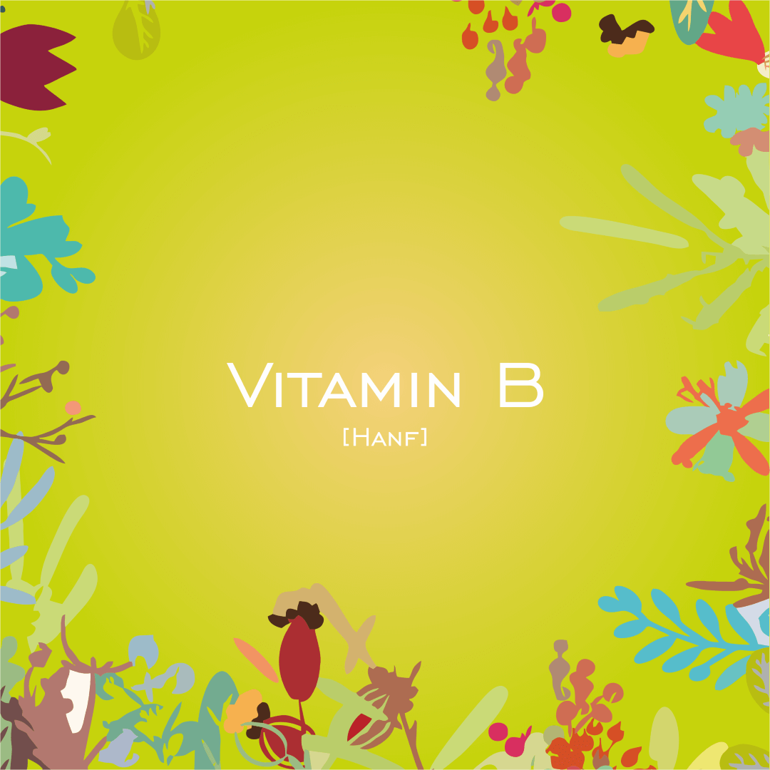 Vitamin B - HorseHealthEssentials