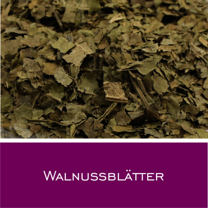 Walnussblätter