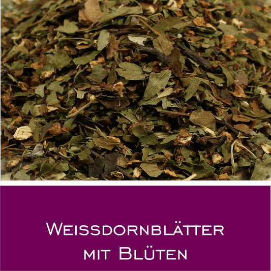 Weißdornblätter mit Blüten