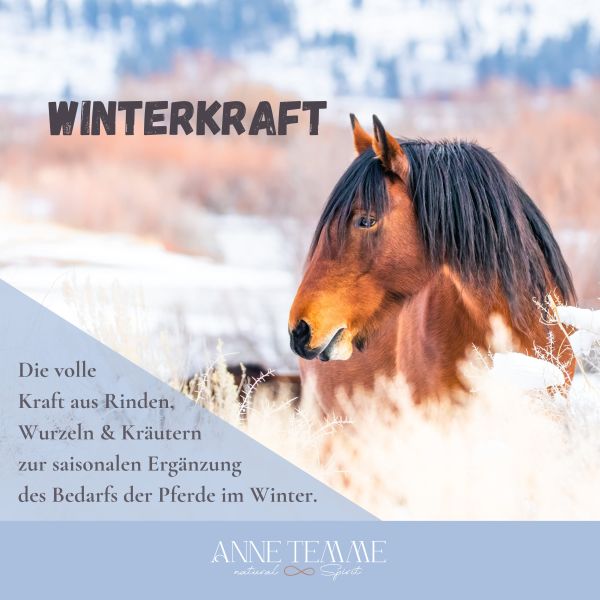 Winterkraft by Anne Temme