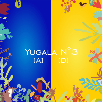 Yugala N°3 [A] [D] - HorseHealthEssentials