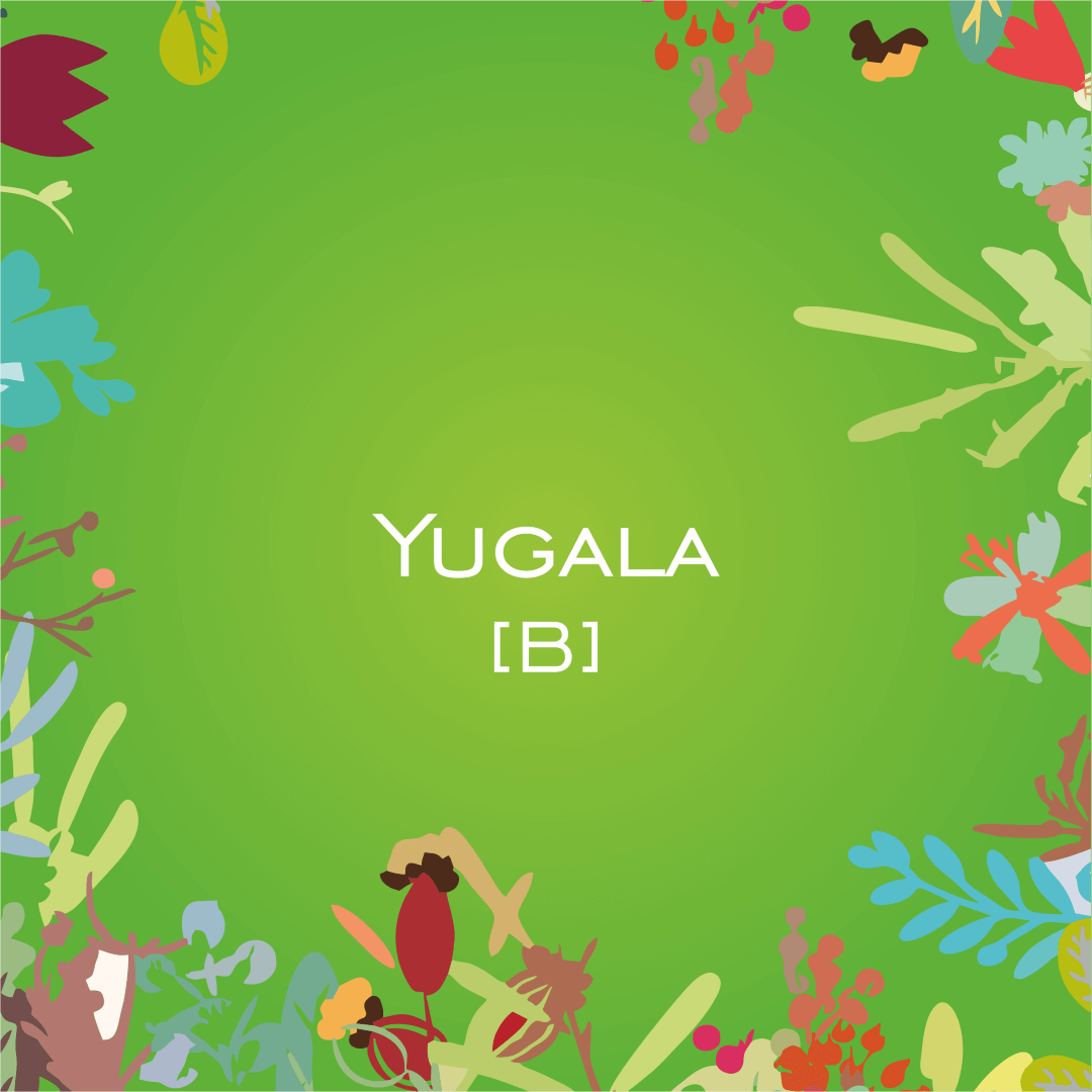 Yugala [B] - HorseHealthEssentials